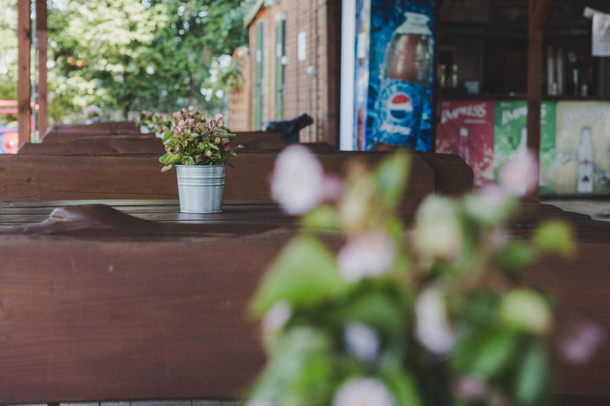 Keja Camping Chłapowo Hotel Wladyslawowo Bagian luar foto